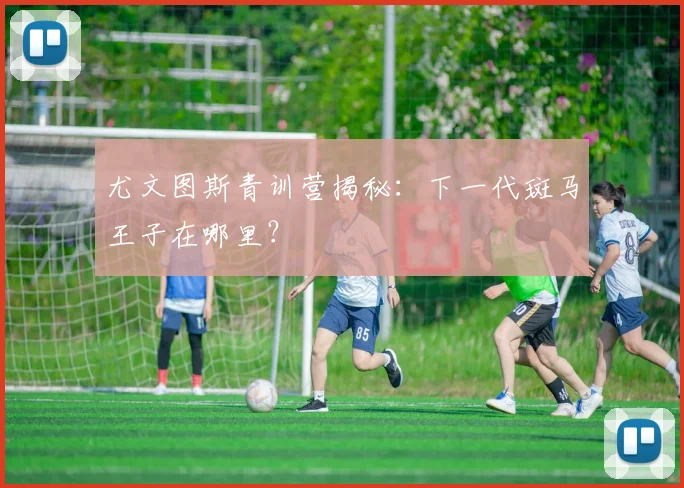 尤文图斯青训营揭秘：下一代斑马王子在哪里？